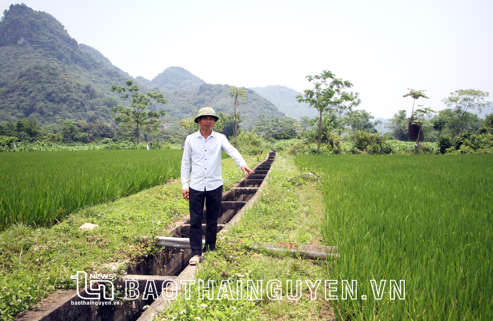  Đường nội đồng nhỏ, hẹp chỉ vừa một người đi bộ nên người dân xóm Đồng Bài khó có thể đưa máy móc vào đồng ruộng để sản xuất.