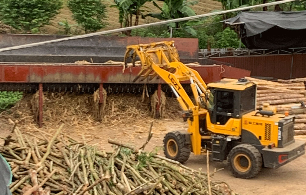 Hằng ngày, nhiều máy móc cùng hoạt động tại cơ sở sơ chế gỗ của ông Nguyễn Quang Tọa tạo tiếng ồn gây khó chịu cho người dân xung quanh.