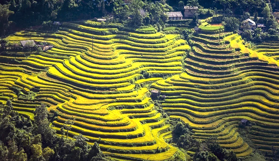  Di sản danh thắng quốc gia ruộng bậc thang tại Hoàng Su Phì luôn hấp dẫn du khách.