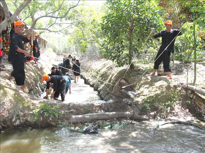  Du khách hứng thú tham gia hoạt động tát ao, bắt cá ở Cù lao Minh (huyện Long Hồ, tỉnh Vĩnh Long).