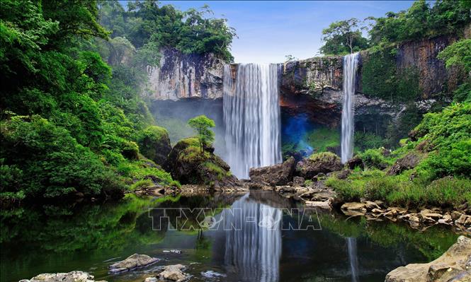 Khu dự trữ sinh quyển Núi Chúa và Kon Hà Nừng vừa được UNESCO vinh danh Khu dự trữ sinh quyển thế giới. Ảnh minh họa: TTXVN