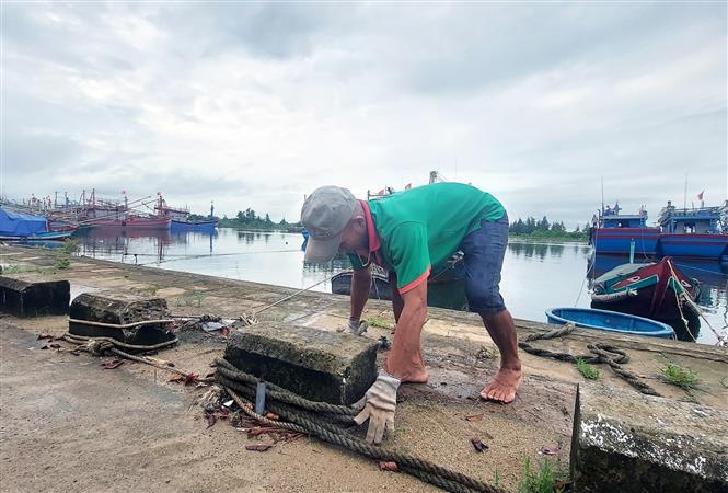  Ngư dân tỉnh Quảng Trị chằng buộc tàu cá để tránh bão gây thiệt hại. Ảnh: Nguyên Lý/TTXVN.