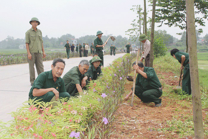  Cựu chiến binh phường Đắc Sơn vệ sinh môi trường, chăm sóc cây xanh.