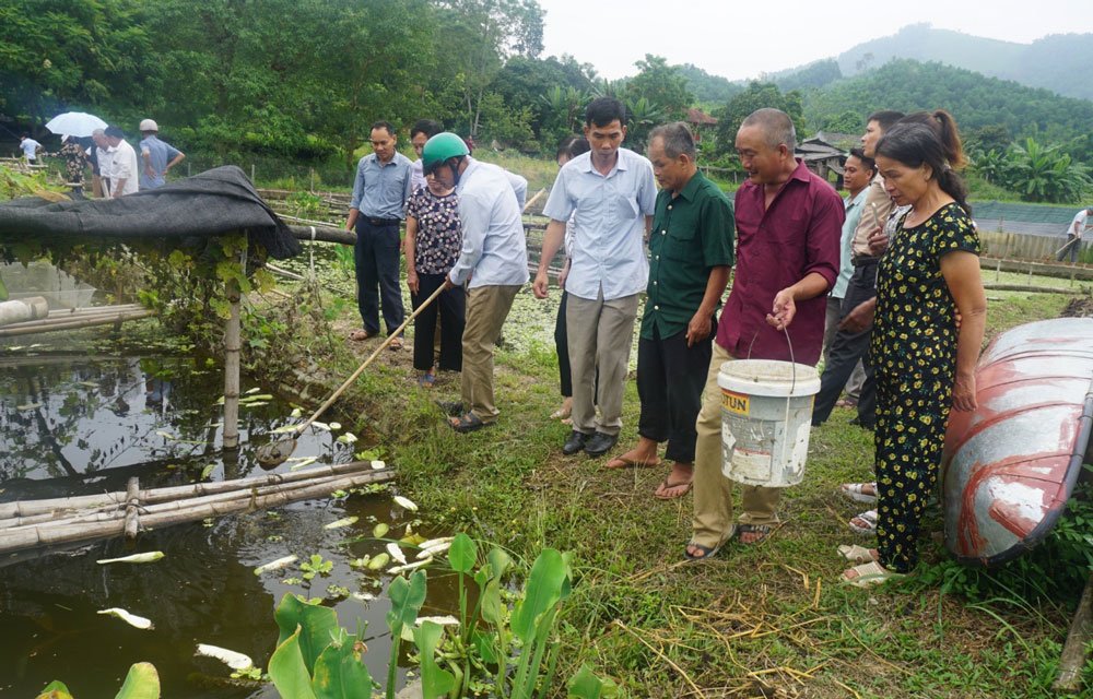  Các đại biểu tham quan mô hình nuôi ốc nhồi thương phẩm của gia đình ông Đỗ Quyết Thắng, xóm La Dẫy, xã Khe Mo.