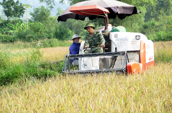  Nhiều hộ nông dân ở Võ Nhai đã đầu tư mua máy gặt liên hợp công suất lớn để làm dịch vụ nông nghiệp nhưng hiệu quả không cao do đồng ruộng phân tán.