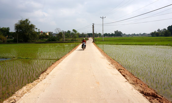  Hệ thống đường giao thông ở tổ dân phố Thơm, thị trấn Hương Sơn đã được bê tông hóa.