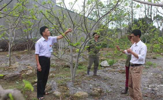  Đồng chí Hoàng Ngọc Ánh, Bí thư Đảng ủy kiêm Chủ tịch HĐND xã La Hiên, Võ Nhai (người bên trái), kiểm tra cơ sở và động viên người dân phát triển sản xuất.