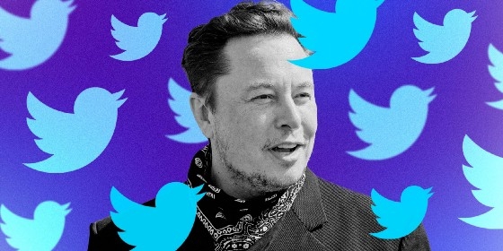  Elon Musk hiện là cổ đông cá nhân lớn nhất của Twitter. Ảnh: Medium