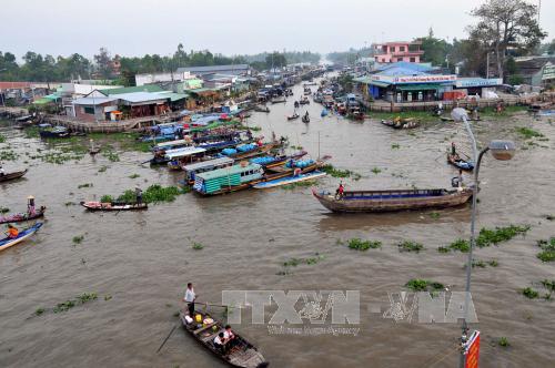  Quang cảnh chợ nổi Ngã Năm. Ảnh tư liệu: TTXVN