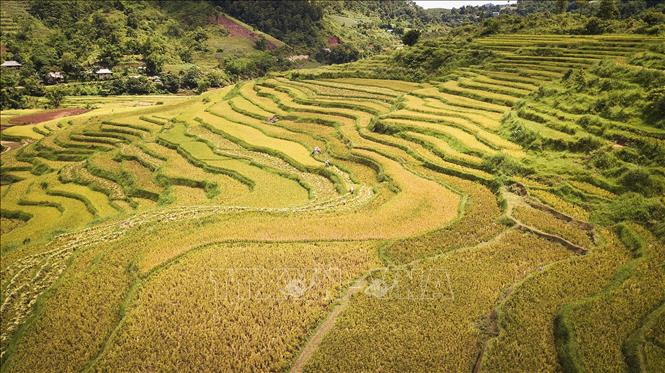  Vẻ đẹp của ruộng bậc thang tại xã Thạch Yên, huyện Cao Phong, tỉnh Hoà Bình hứa hẹn sẽ là một tiềm lực lớn để cho xã Yên Thượng đặt mục tiêu thúc đẩy phát triển du lịch tại địa phương mạnh mẽ. Ảnh: Trọng Đạt/TTXVN