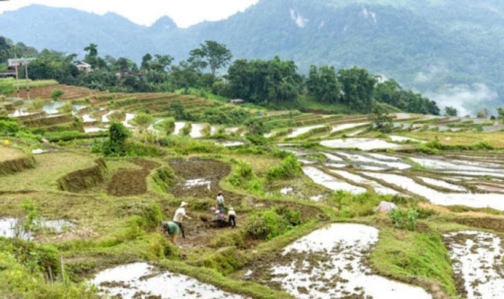  Vẫn còn nhiều vướng mắc trong chính sách đất đai đối với đồng bào dân tộc thiểu số.