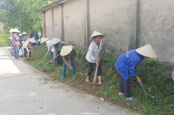  Chi hội phụ nữ xóm Bìa, xã Thành Công tổ chức vệ sinh môi trường, tổ chức trồng mới tuyến đường hoa phụ nữ với chiều dài hơn 1km.