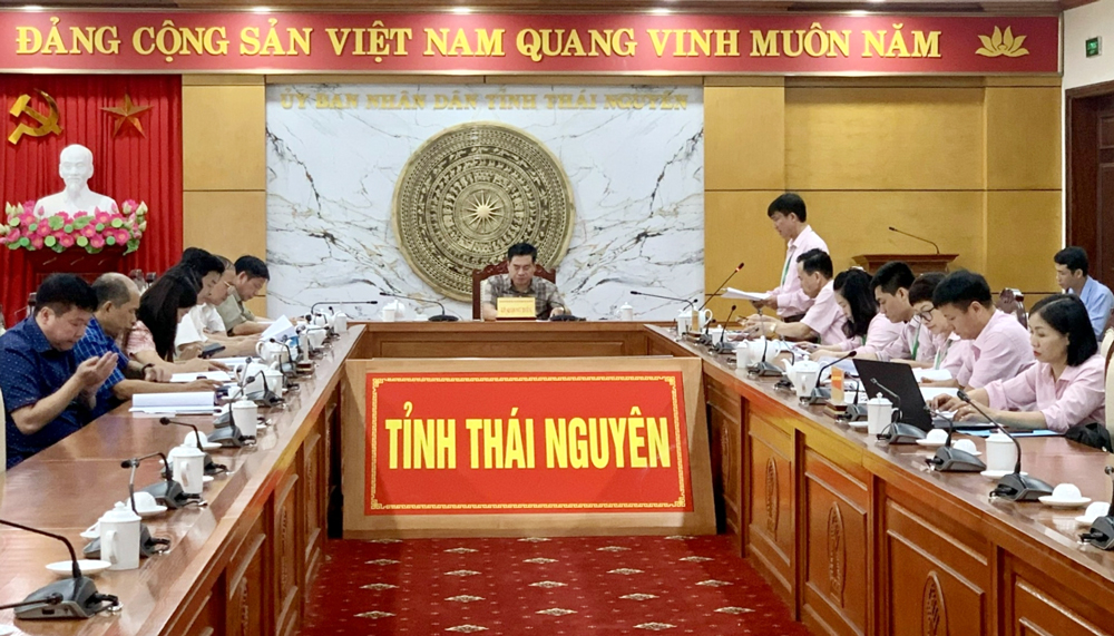  Đại diện lãnh đạo NHCSXH tỉnh phát biểu làm rõ một số kết quả thực hiện trong 6 tháng đầu năm.