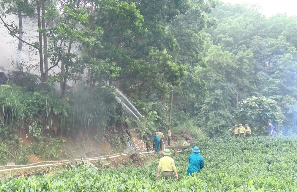  Nội dung diễn tập phòng cháy, chữa cháy rừng được lồng ghép với diễn tập phòng thủ tại xã Trung Hội (Định Hóa).