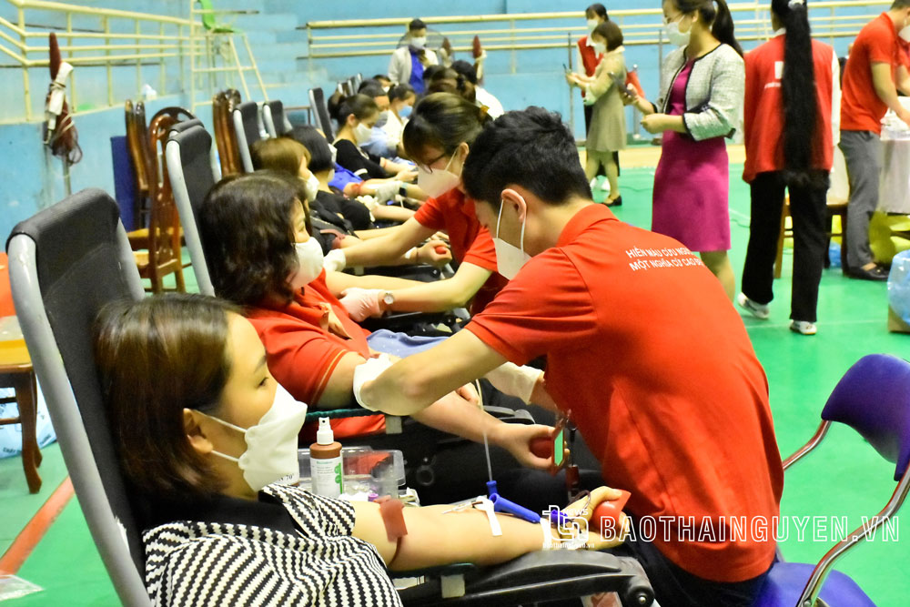  Người dân TP. Thái Nguyên tham gia hiến máu tình nguyện tại chương trình "Những giọt máu hồng hè năm 2022" do Hội Chữ thập đỏ tỉnh phối hợp với TP. Thái Nguyên tổ chức, tháng 4-2022.