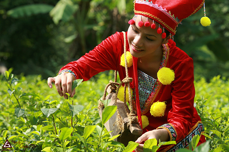  Ảnh minh họa.