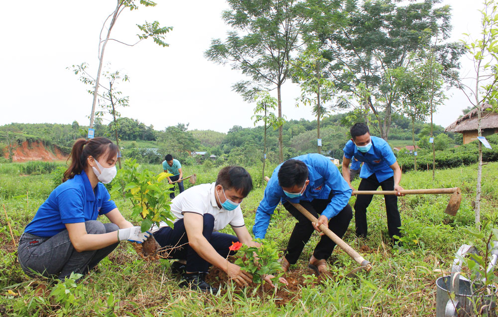  Lãnh đạo và đoàn viên thanh niên Ban Quản lý Khu di tích lịch sử - sinh thái ATK Định Hóa trồng cây dâm bụt trong khuôn viên Di tích lịch sử Trường Đảng Nguyễn Ái Quốc.