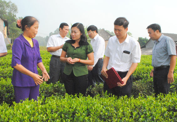  Bà Đỗ Thị Hiệp (người ngoài cùng bên trái), Chủ nhiệm HTX Chè Tân Hương đang say sưa giới thiệu cho du khách về quy trình sản xuất chè theo tiêu chuẩn Quốc tế UTZ Certified.