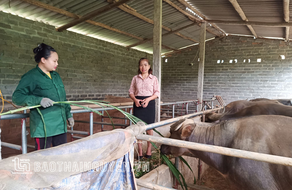  Báo cáo viên xã Văn Lăng (bên phải) tuyên truyền, vận động người dân tích cực phát triển kinh tế.