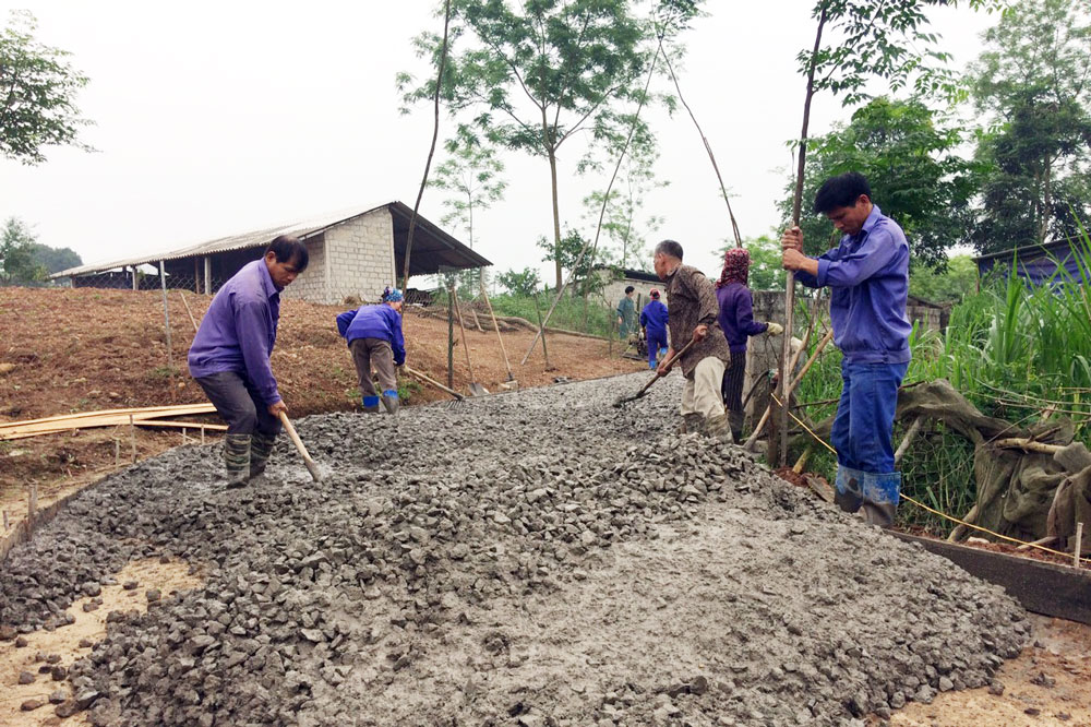  Người dân xóm Việt Long xã Bàn Đạt (Phú Bình) tham gia làm đường bê tông. 