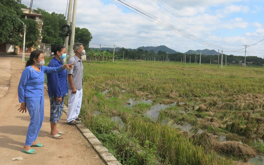  Dù tuổi đã cao nhưng bà Nguyễn Thị Toàn (ngoài cùng bên trái), Bí thư Chi bộ, Trưởng Ban Công tác mặt trận xóm Trám, xã Huống Thượng vẫn tích cực tham gia công tác xã hội.