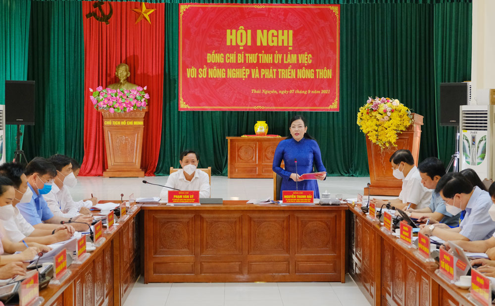  Ms. Nguyen Thanh Hai, Secretary of the Provincial Party Committee delivers her speech.