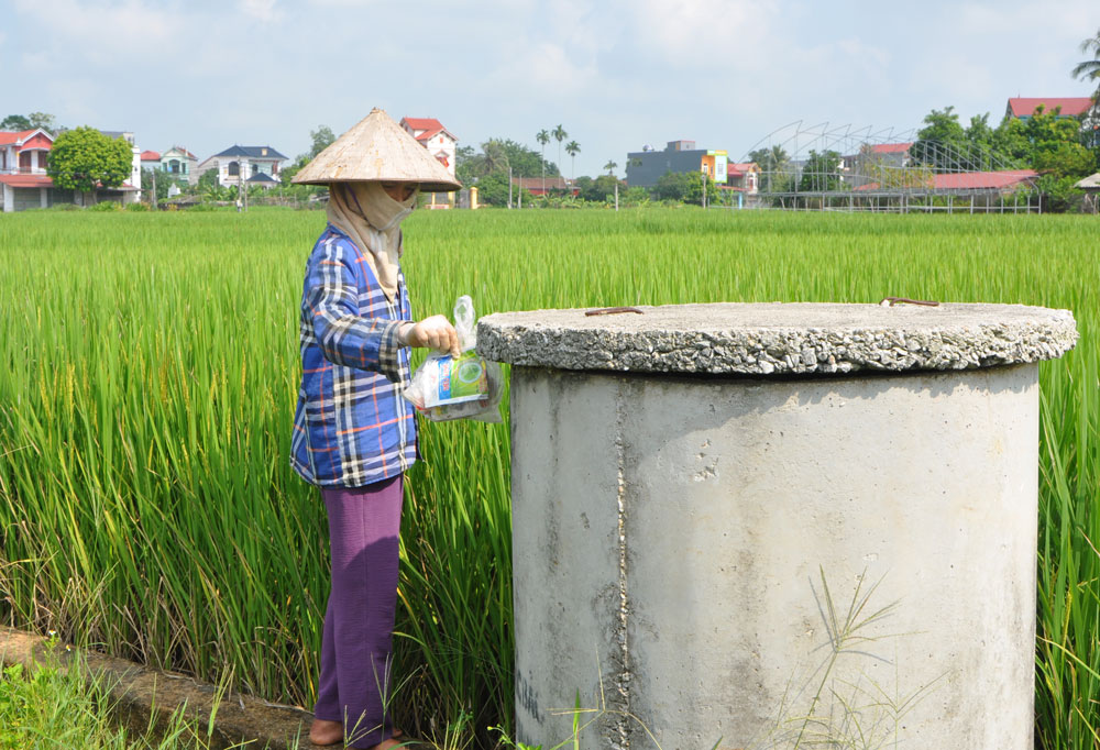  Người dân xóm Nguộn, xã Dương Thành (Phú Bình) vứt vỏ bao bì thuốc bảo vệ thực vật vào bể thu gom tại cánh đồng.