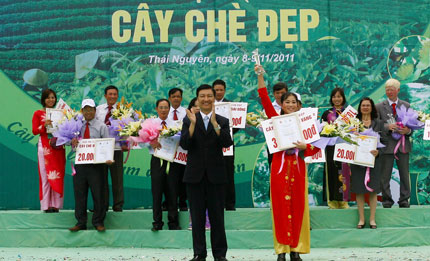  Mr. Dang Viet Thuan awarded the Golden prize of the beautiful tea contest to the tea plant of Dai Tu district