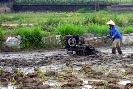  Người dân xã Tân Linh (Đại Từ) làm đất gieo cấy vụ xuân.