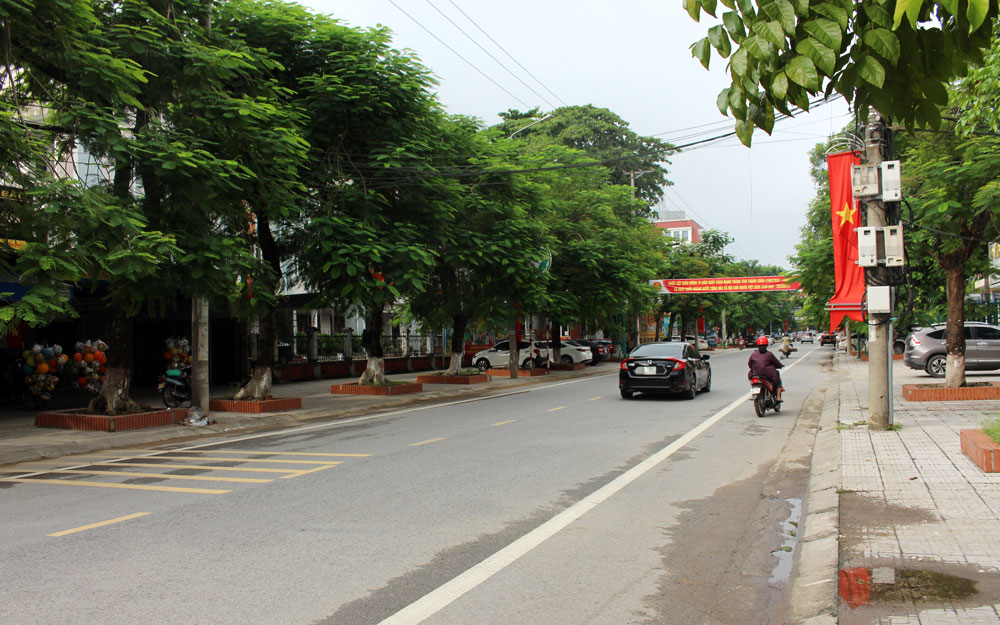  Thời gian qua, T.P Thái Nguyên thường xuyên quan tâm đến việc trồng, cải tạo và chăm sóc cây xanh đô thị. Trong ảnh: Hàng cây xanh tại tuyến đường Nha Trang, phường Trưng Vương phát triển xanh tốt.