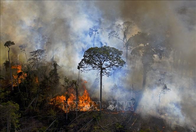  Khói lửa bốc lên từ đám cháy rừng Amazon ở bang Para, Brazil ngày 15-8-2020. Ảnh: AFP/TTXVN