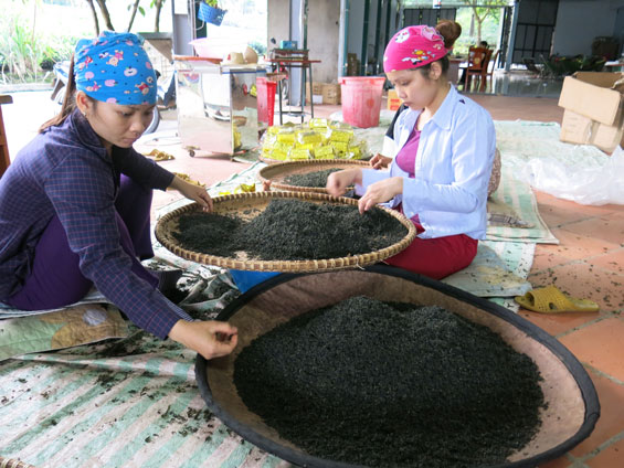  Cơ sở sản xuất, kinh doanh chè của gia đình anh Trần Văn Thắng, ở xóm Hồng Thái 2, xã Tân Cương (T.P Thái Nguyên) chuẩn bị sản phẩm chè phục vụ Festival Trà lần thứ 3.  