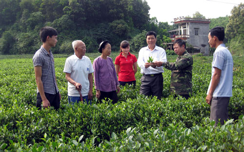  Cán bộ nhân dân xã Vô Tranh (Phú Lương) trao đổi kinh nghiệm sản xuất chè an toàn