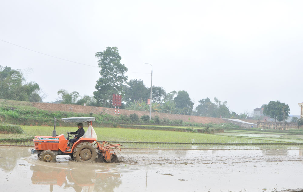  Nông dân xã Hà Châu (Phú Bình) sử dụng máy làm đất trong gieo cấy lúa.