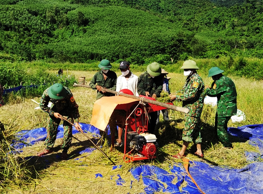  Bộ đội Biên phòng tỉnh Quảng Bình giúp dân thu hoạch lúa. Ảnh: CHÂU THANH.