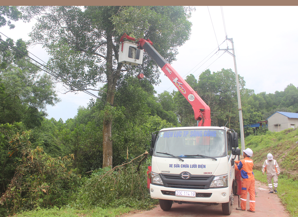  Điện lực TP. Sông Công thực hiện chặt, tỉa cây cối ảnh hưởng đến hành lang an toàn lưới điện tại xóm Tiền Tiến, xã Bình Sơn.