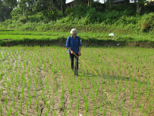  Nông dân xã Nam Hòa, Đồng Hỷ phun thuốc phòng trừ sâu cuốn lá cho trà lúa mùa trung.   