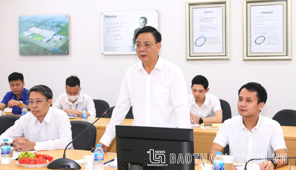  Mr. Dang Xuan Truong delivers his speech at the working session with Viet Nam Hansol Electronics Limited Company 