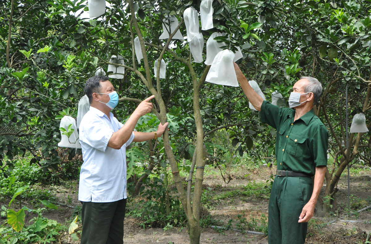  Ông Nguyễn Trọng Hợp (mặc áo xanh) không chỉ phát triển kinh tế giỏi mà còn luôn đi đầu các phong trào ở địa phương.