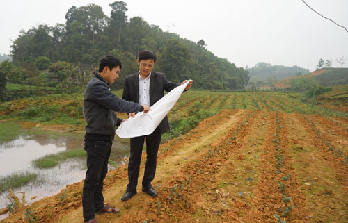  Trên bản đồ địa chính thể hiện là đất lúa nhưng thực tế cánh đồng Quyết Thắng, xã Tức Tranh (Phú Lương) đã được bà con đổ đất để trồng chè thay thế.