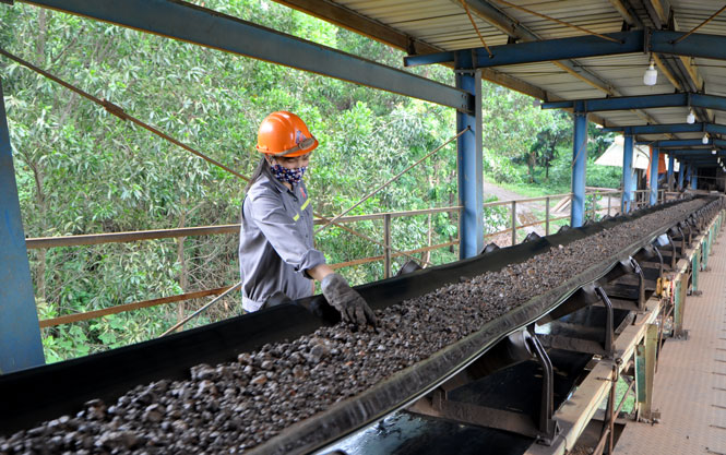  Sản xuất quặng tinh tại Nhà máy tuyển khoáng thuộc Mỏ sắt Tiến Bộ.