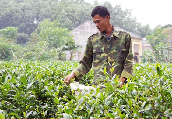  Tuân thủ đúng hướng dẫn, quy trình, phác đồ điều trị cai nghiện ma túy bằng thuốc, anh Lương Văn Sáng đã hồi phục sức khoẻ, có thể tham gia lao động.