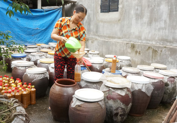  Với nghề làm tương nếp, mỗi năm gia đình bà Dương Thị Thiêm, ở xóm Làng, xã Úc Kỳ (Phú Bình) thu lãi trên 50 triệu đồng.