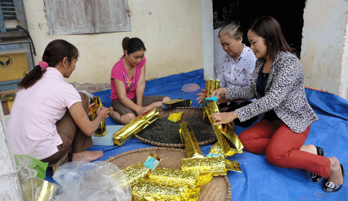  Các thành viên của Hợp tác xã Hà Phương, xã Minh Lập (Đồng Hỷ) đóng gói chè để trưng bày tại Festival Trà.