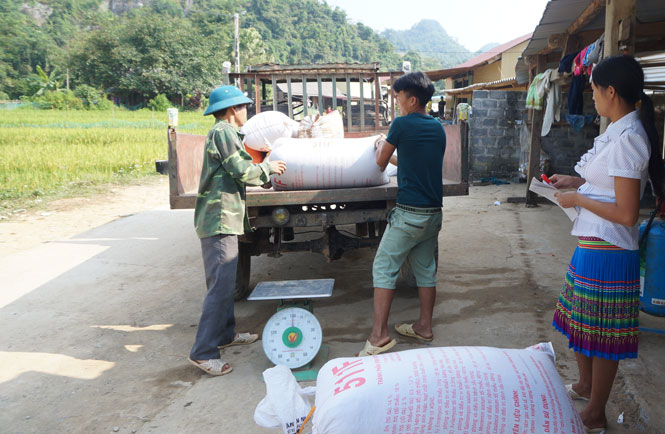  Nhờ đóng góp của các chi bộ, đảng viên ở vùng có đông đồng bào dân tộc Mông sinh sống, đời sống của bà con người Mông trong tỉnh ngày một tốt lên. Trong ảnh: Thương lái đến từng hộ dân ở xóm Bản Tèn, xã Văn Lăng (Đồng Hỷ) thu mua nông sản.