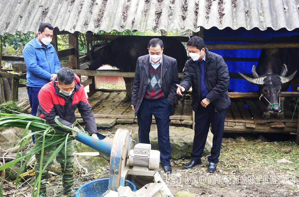  Lãnh đạo Chi cục Chăn nuôi, Thú y và Thủy sản thực tế tại một hộ chăn nuôi ở xã Tràng Xá (Võ Nhai).