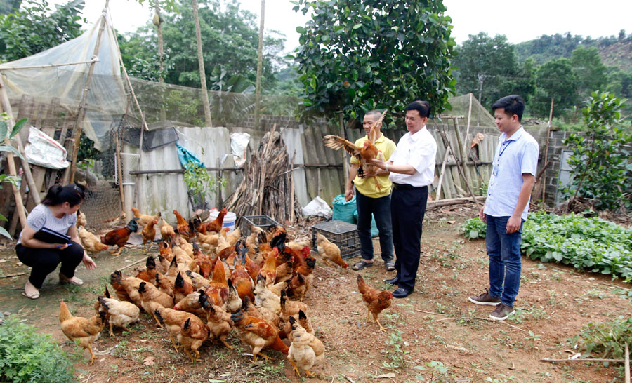  Lãnh đạo Chi cục Phát triển nông thôn kiểm tra hiệu quả của Dự án tại xã Trung Hội, huyện Định Hóa (ảnh chụp trước ngày 27/4/2021).