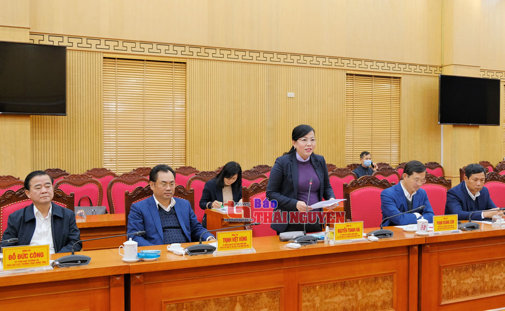  The Secretary of Thai Nguyen Provincial Party Committee delivered her speech at the meeting. 