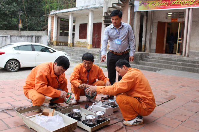  Nhờ có sự lãnh đạo, định hướng phù hợp của chi bộ đảng mà HTX Dịch vụ - Kinh doanh tổng hợp Cổ Lũng (Phú Lương) đã kịp thời thay đổi ngành nghề, tạo được bước phát triển vững vàng.