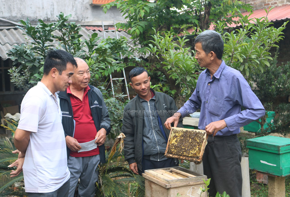  Các thành viên Hợp tác xã nông nghiệp an toàn xã An Khánh trao đổi kinh nghiệm nuôi ong lấy mật.